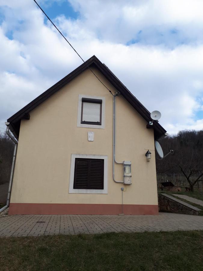 Kéknefelejcs Vendégház Tapolca Kültér fotó