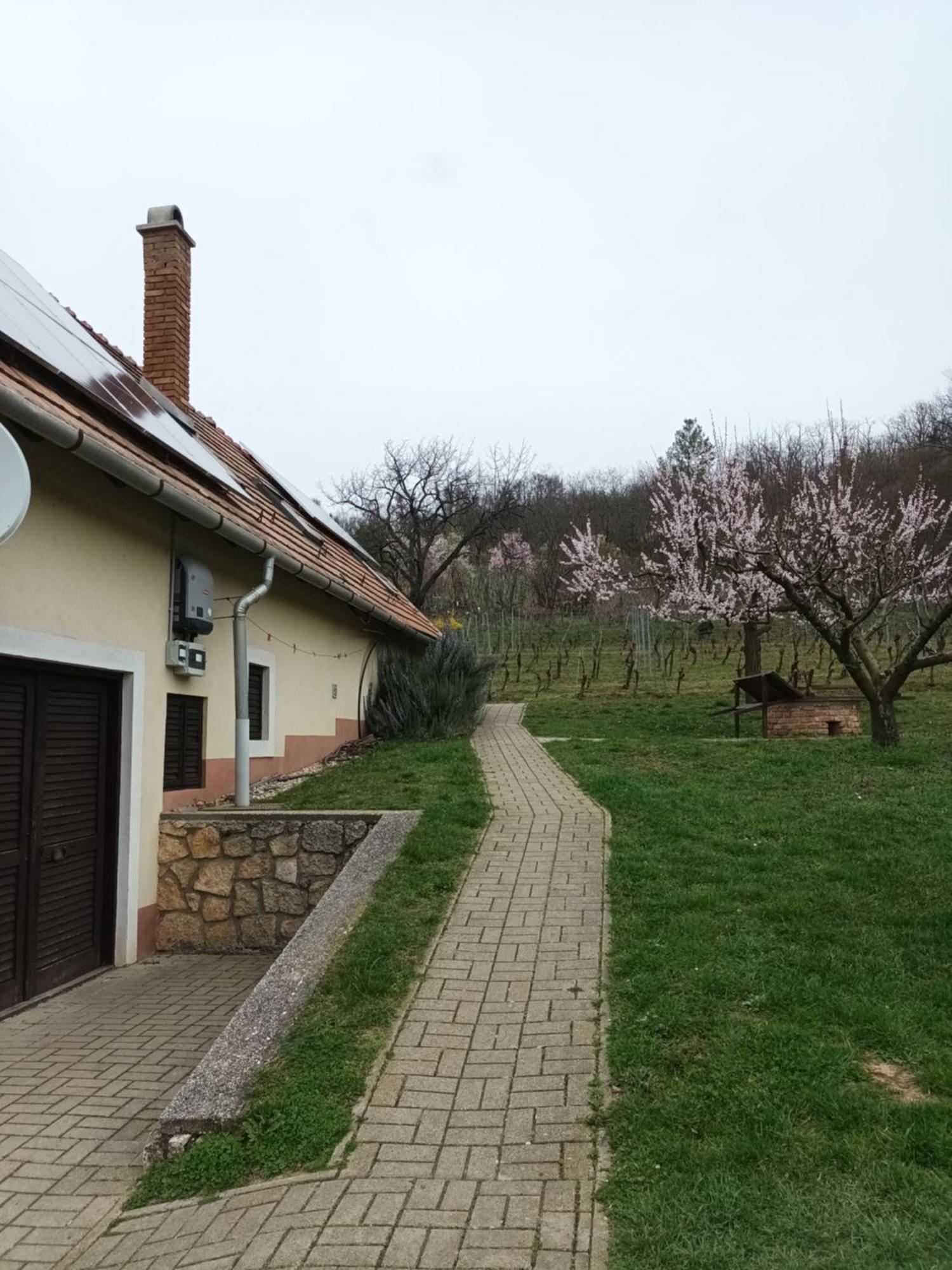Kéknefelejcs Vendégház Tapolca Kültér fotó